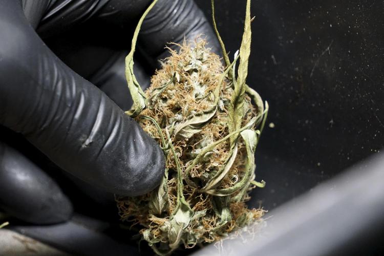 A Sudae Driver Mood. Week 14 - SD#2