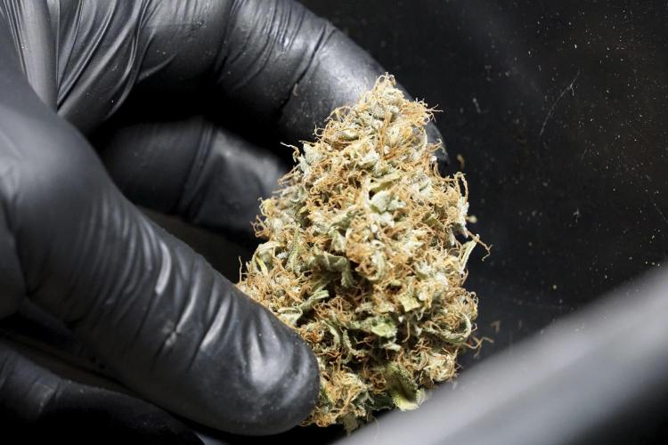 A Sudae Driver Mood. Week 14 - SD#2