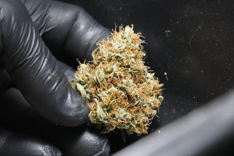 A Sudae Driver Mood. Week 14 - SD#2