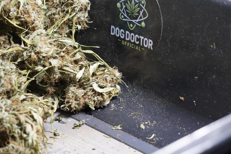 A Sudae Driver Mood. Week 14 - SD#2