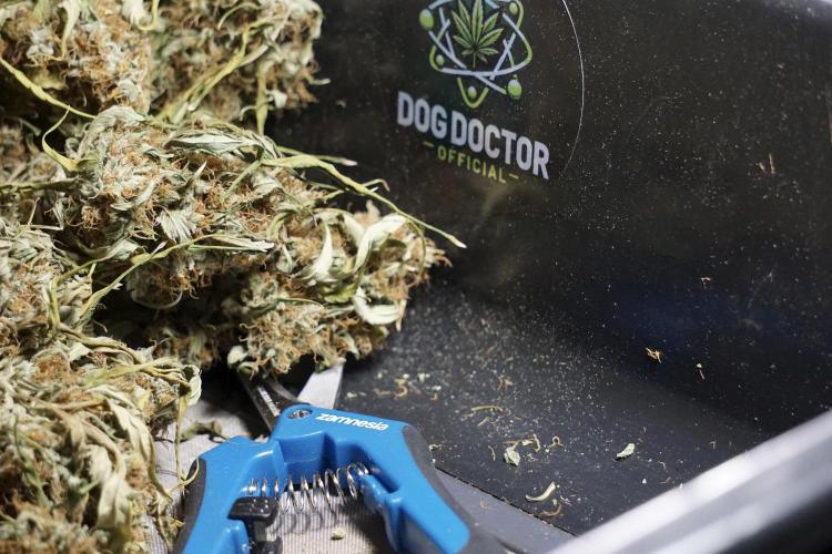 A Sudae Driver Mood. Week 14 - SD#2