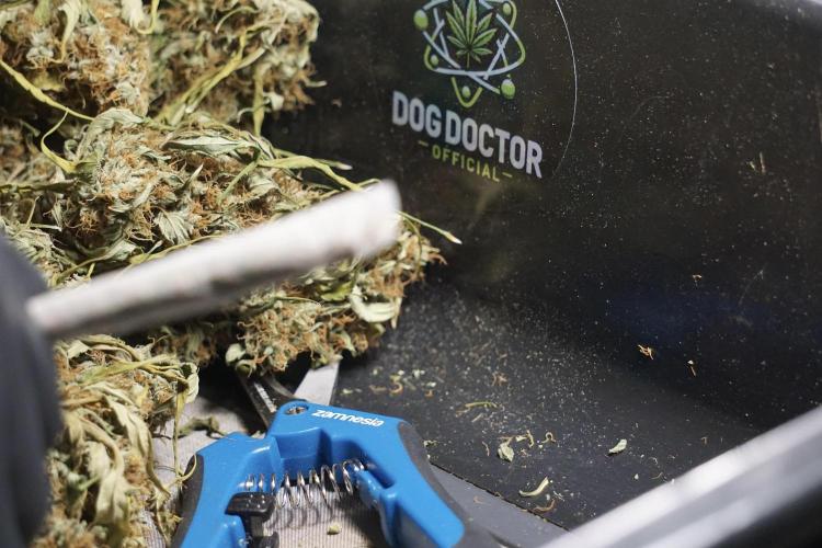 A Sudae Driver Mood. Week 14 - SD#2