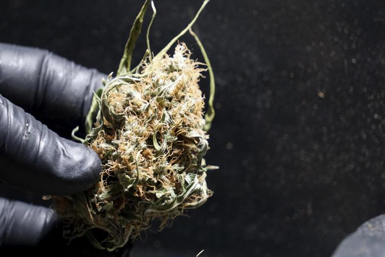 A Sudae Driver Mood. Week 14 - SD#2