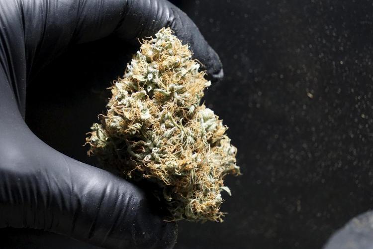 A Sudae Driver Mood. Week 14 - SD#2