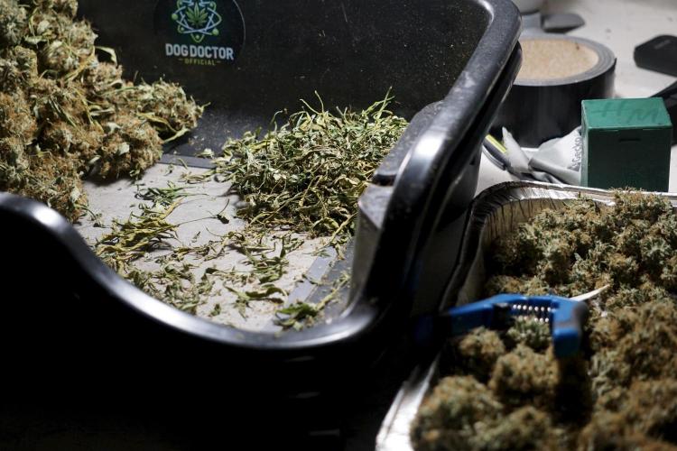 A Sudae Driver Mood. Week 14 - SD#2