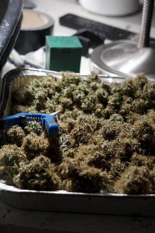 A Sudae Driver Mood. Week 14 - SD#2