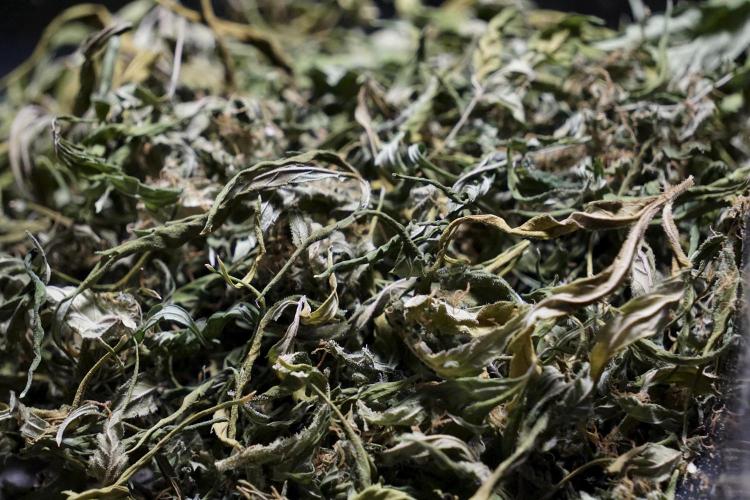 A Sudae Driver Mood. Week 14 - SD#2