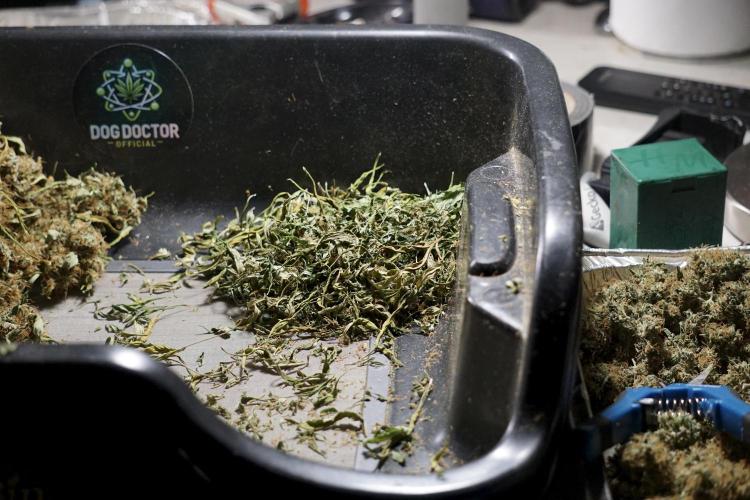 A Sudae Driver Mood. Week 14 - SD#2