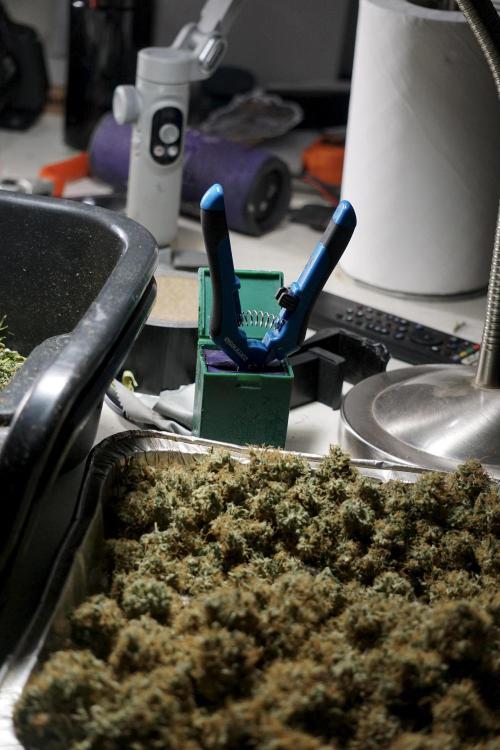 A Sudae Driver Mood. Week 14 - SD#2