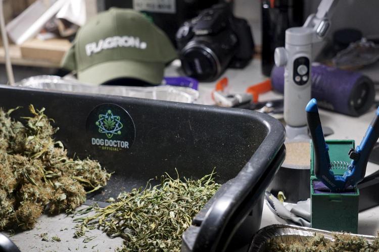 A Sudae Driver Mood. Week 14 - SD#2