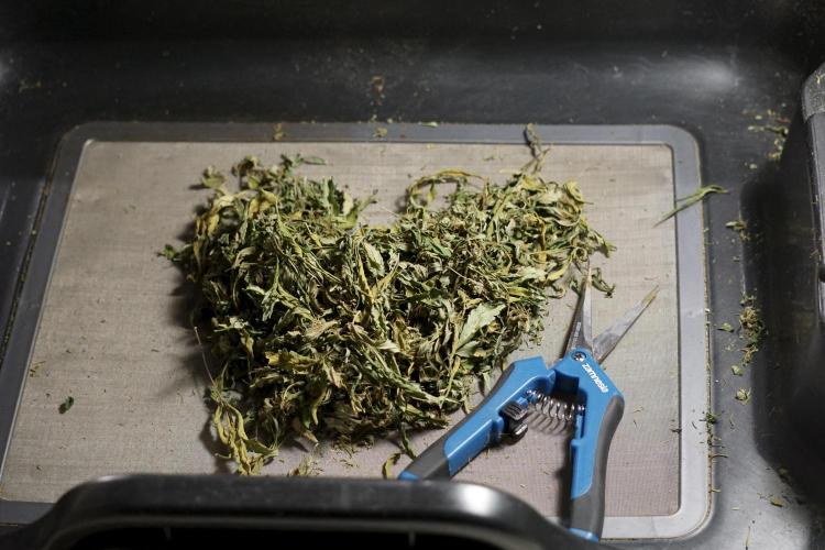 A Sudae Driver Mood. Week 14 - SD#2