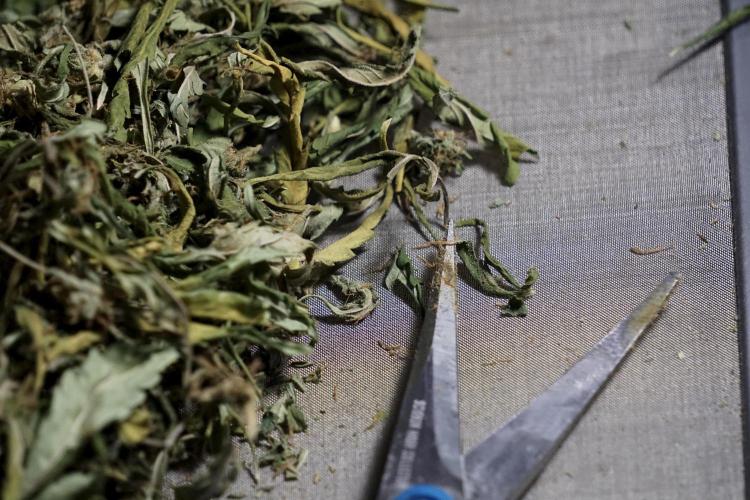 A Sudae Driver Mood. Week 14 - SD#2