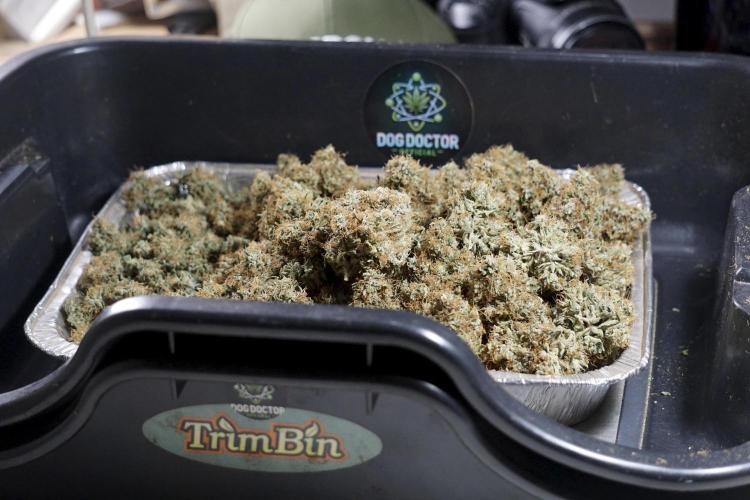 A Sudae Driver Mood. Week 14 - SD#2