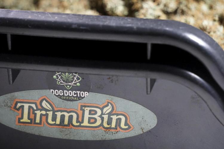 A Sudae Driver Mood. Week 14 - SD#2