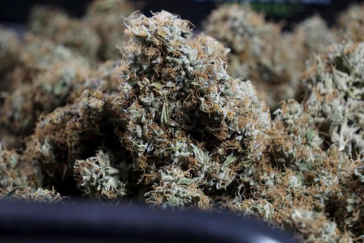 A Sudae Driver Mood. Week 14 - SD#2