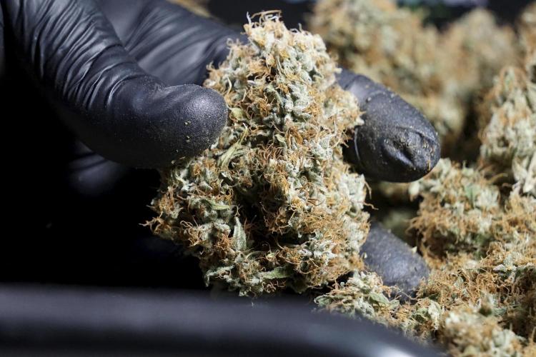 A Sudae Driver Mood. Week 14 - SD#2