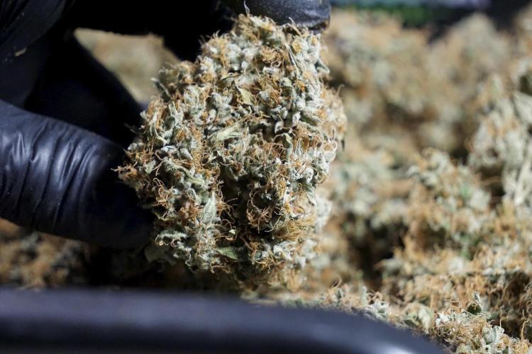 A Sudae Driver Mood. Week 14 - SD#2