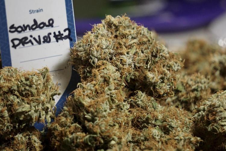 A Sudae Driver Mood. Week 14 - SD#2