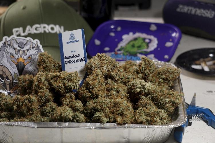 A Sudae Driver Mood. Week 14 - SD#2