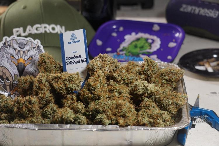 A Sudae Driver Mood. Week 14 - SD#2