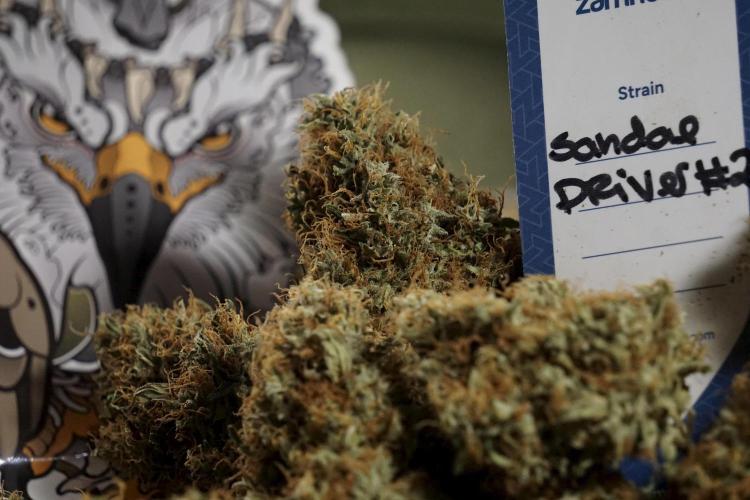 A Sudae Driver Mood. Week 14 - SD#2