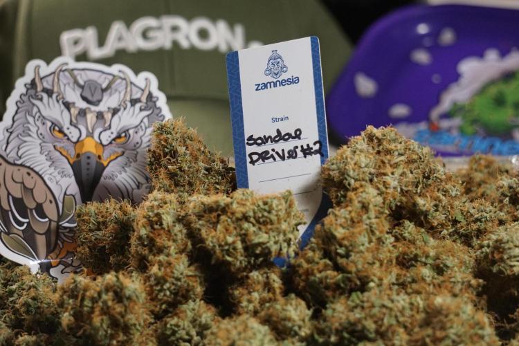 A Sudae Driver Mood. Week 14 - SD#2