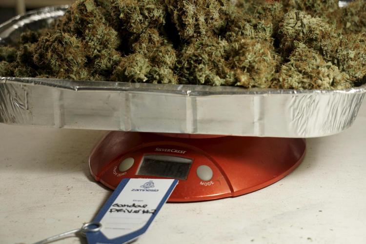 A Sudae Driver Mood. Week 14 - SD#2