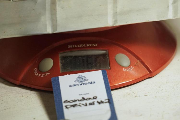 A Sudae Driver Mood. Week 14 - SD#2