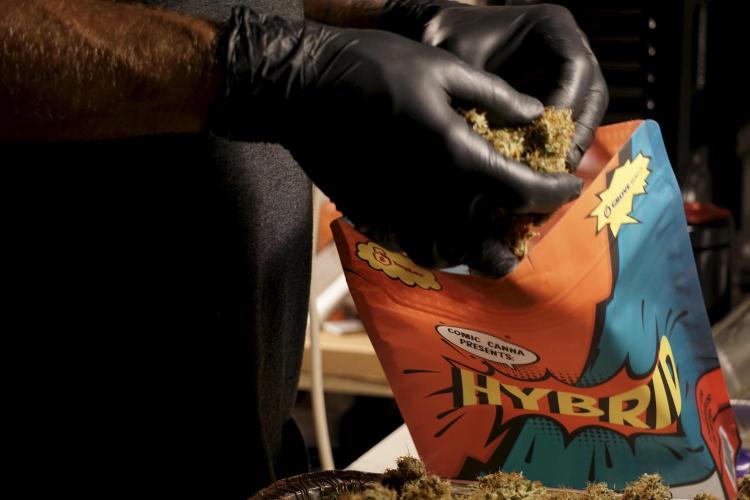 A Sudae Driver Mood. Week 14 - SD#2