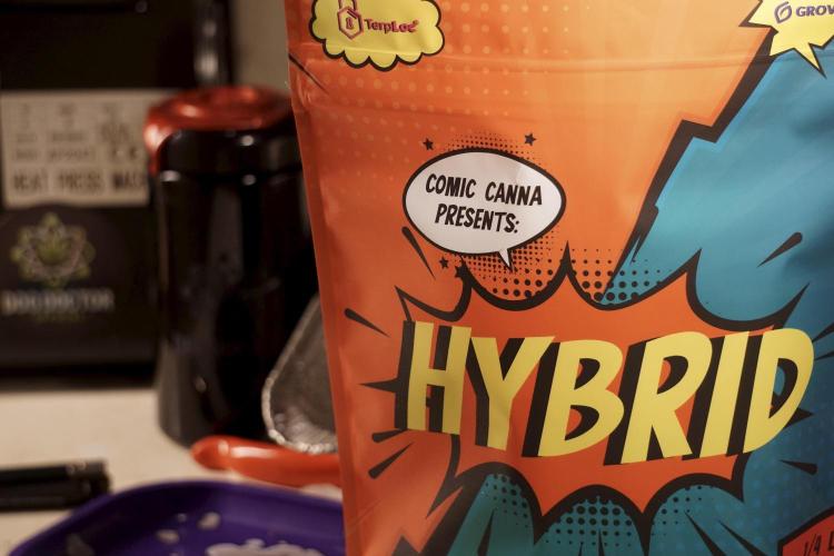 A Sudae Driver Mood. Week 14 - SD#2