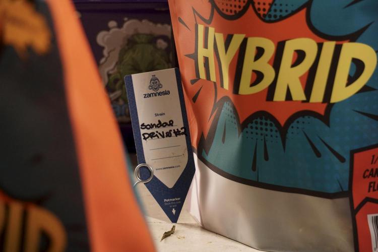 A Sudae Driver Mood. Week 14 - SD#2