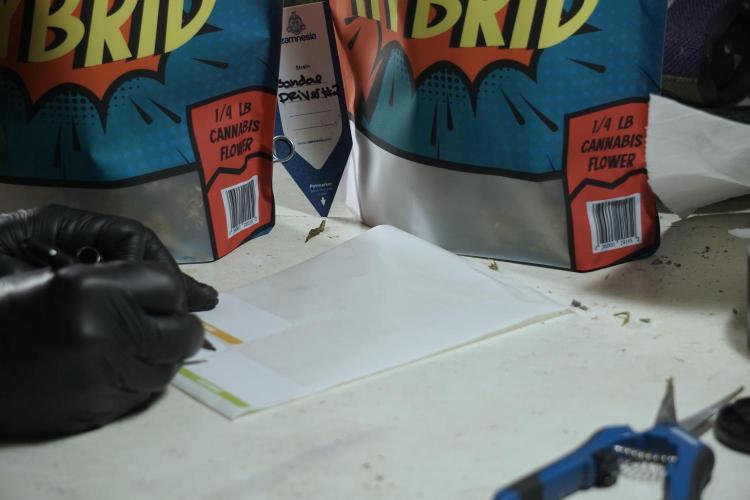 A Sudae Driver Mood. Week 14 - SD#2