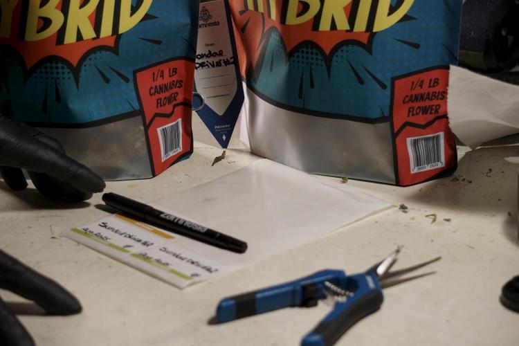 A Sudae Driver Mood. Week 14 - SD#2