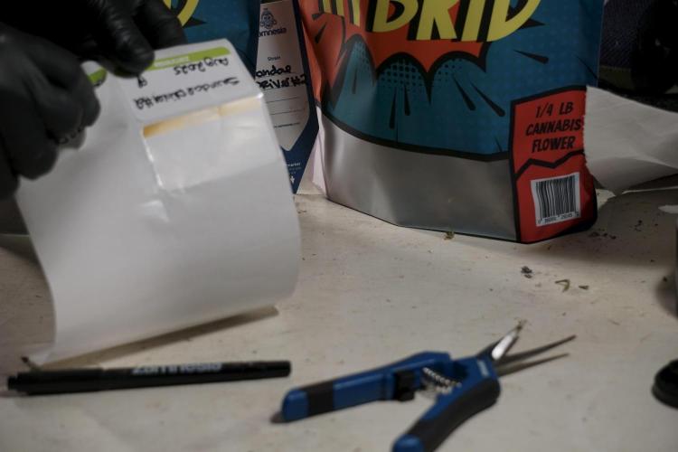 A Sudae Driver Mood. Week 14 - SD#2