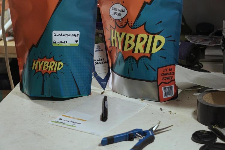 A Sudae Driver Mood. Week 14 - SD#2