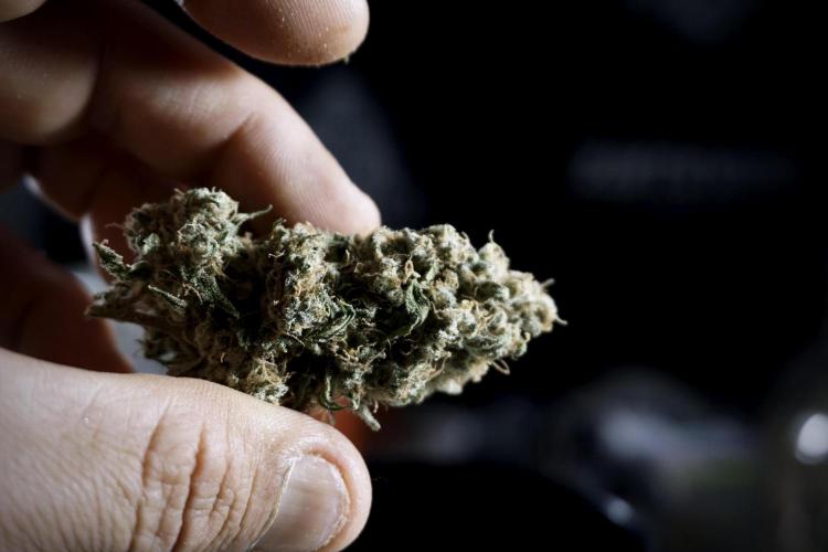 A Sudae Driver Mood. Week 14 - SD#2