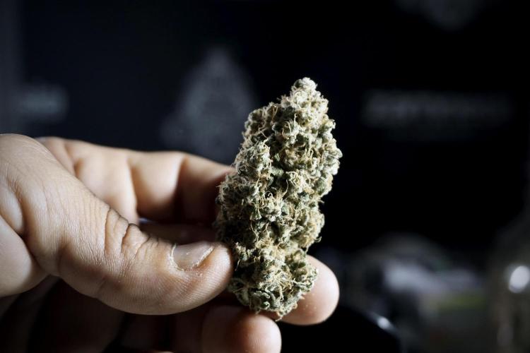 A Sudae Driver Mood. Week 14 - SD#2