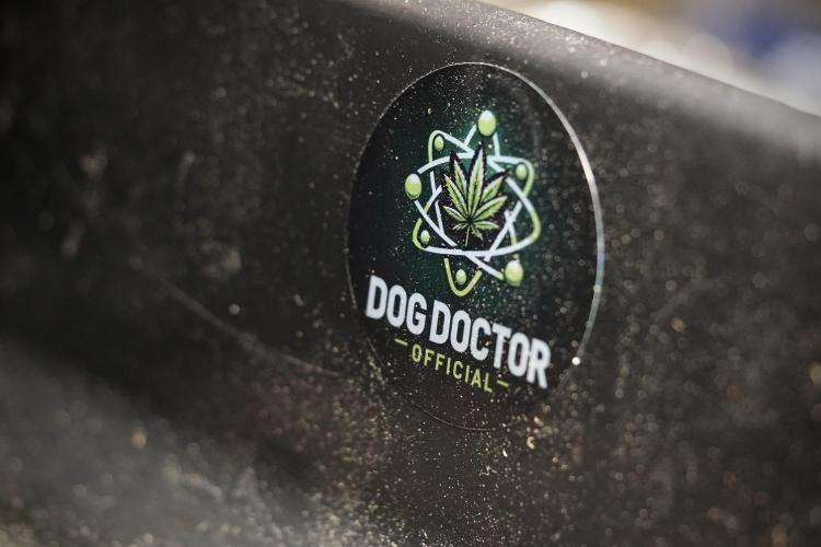 A Sudae Driver Mood. Week 14 - SD#3