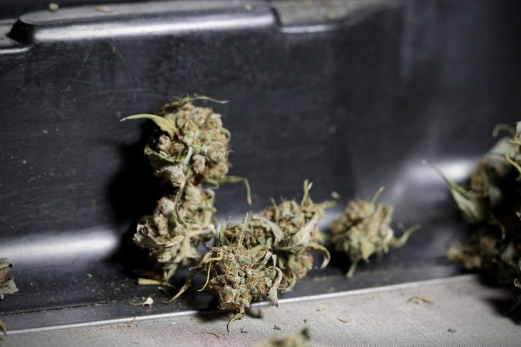 A Sudae Driver Mood. Week 14 - SD#3