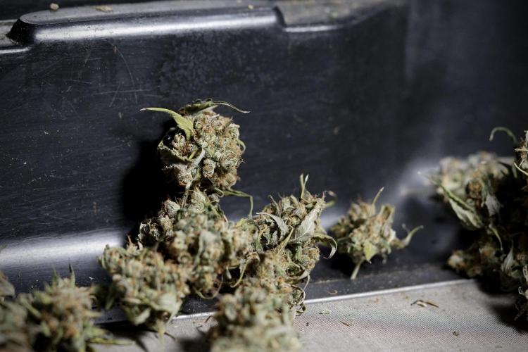 A Sudae Driver Mood. Week 14 - SD#3