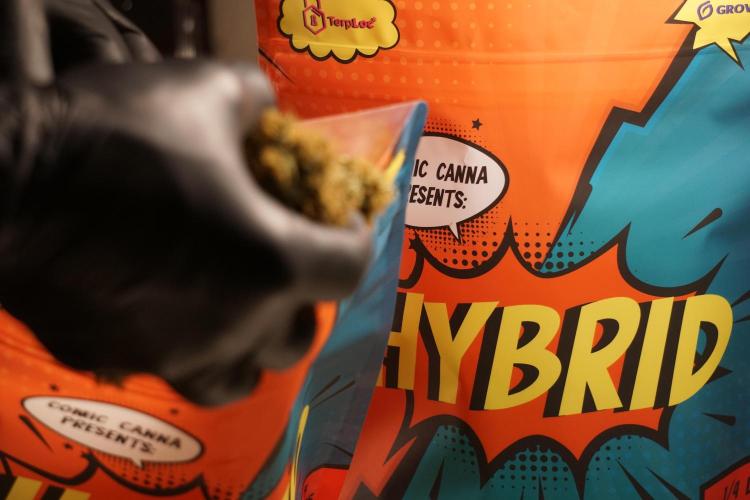 A Sudae Driver Mood. Week 14