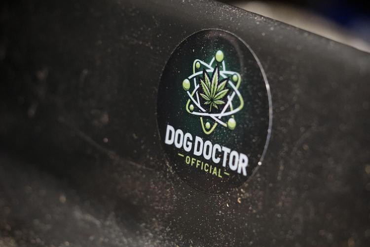 A Sudae Driver Mood. Week 14