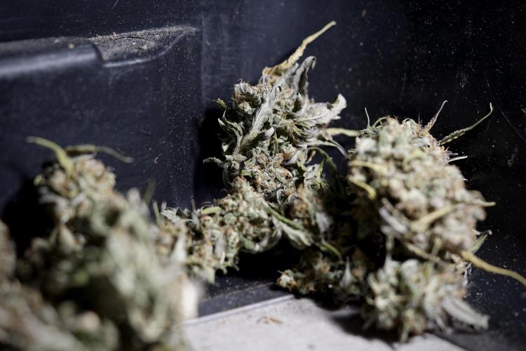 A Sudae Driver Mood. Week 14 - SD#3