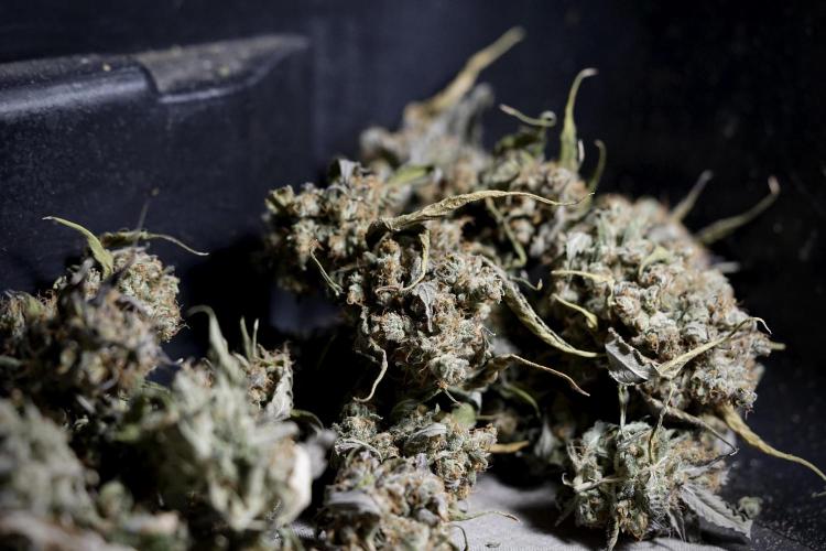 A Sudae Driver Mood. Week 14 - SD#3