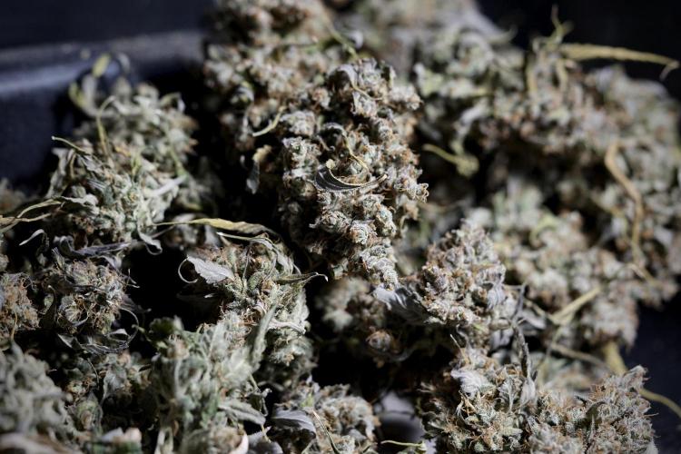 A Sudae Driver Mood. Week 14 - SD#3