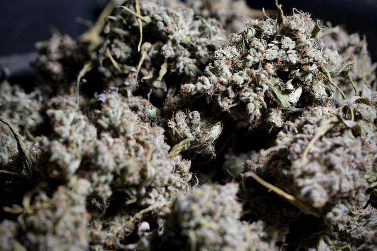 A Sudae Driver Mood. Week 14 - SD#3