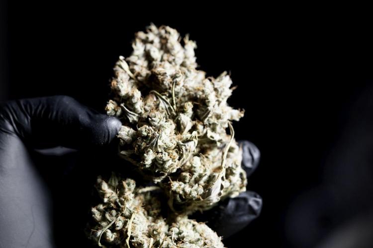 A Sudae Driver Mood. Week 14 - SD#3