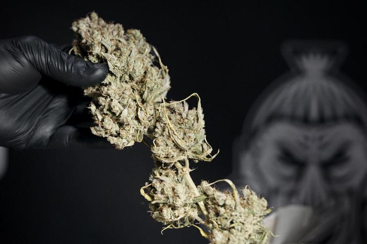 A Sudae Driver Mood. Week 14 - SD#3