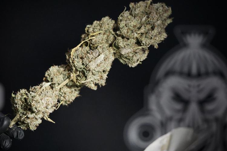 A Sudae Driver Mood. Week 14 - SD#3