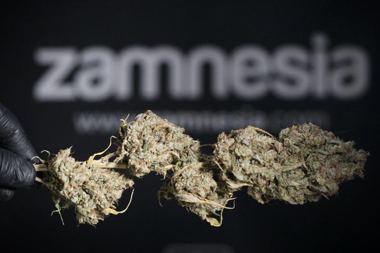 A Sudae Driver Mood. Week 14 - SD#3